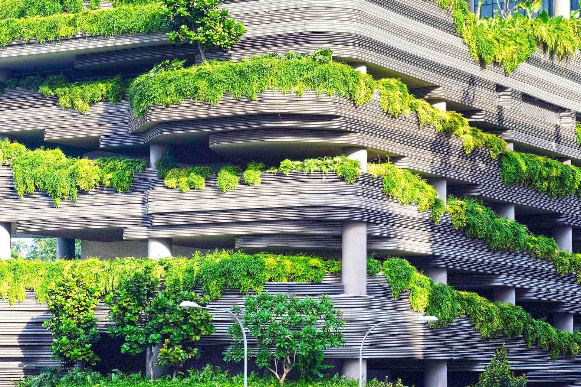 Nachhaltiges Bauen: Die grüne Revolution cover